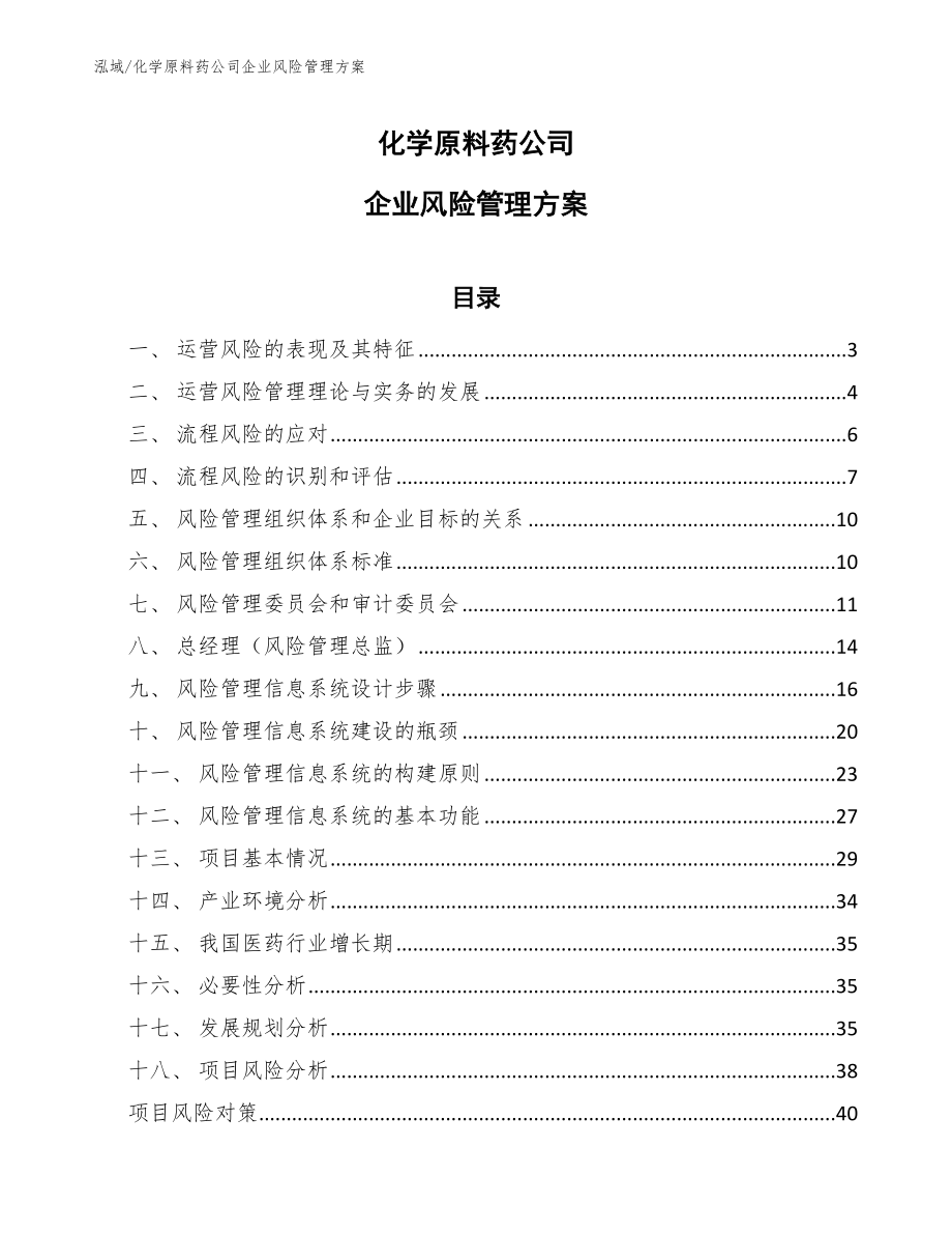 化学原料药公司企业风险管理方案（参考）_第1页