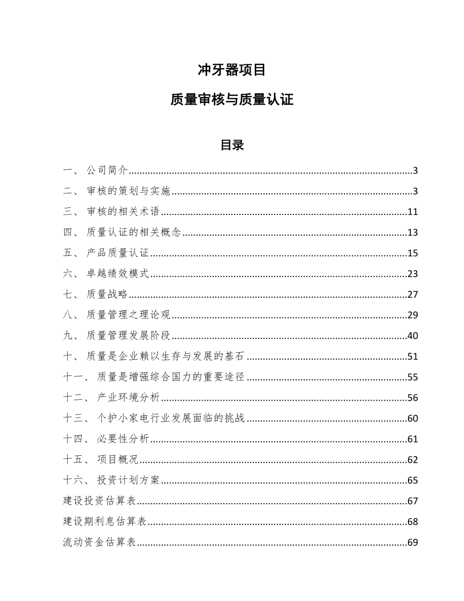 冲牙器项目质量审核与质量认证_参考_第1页