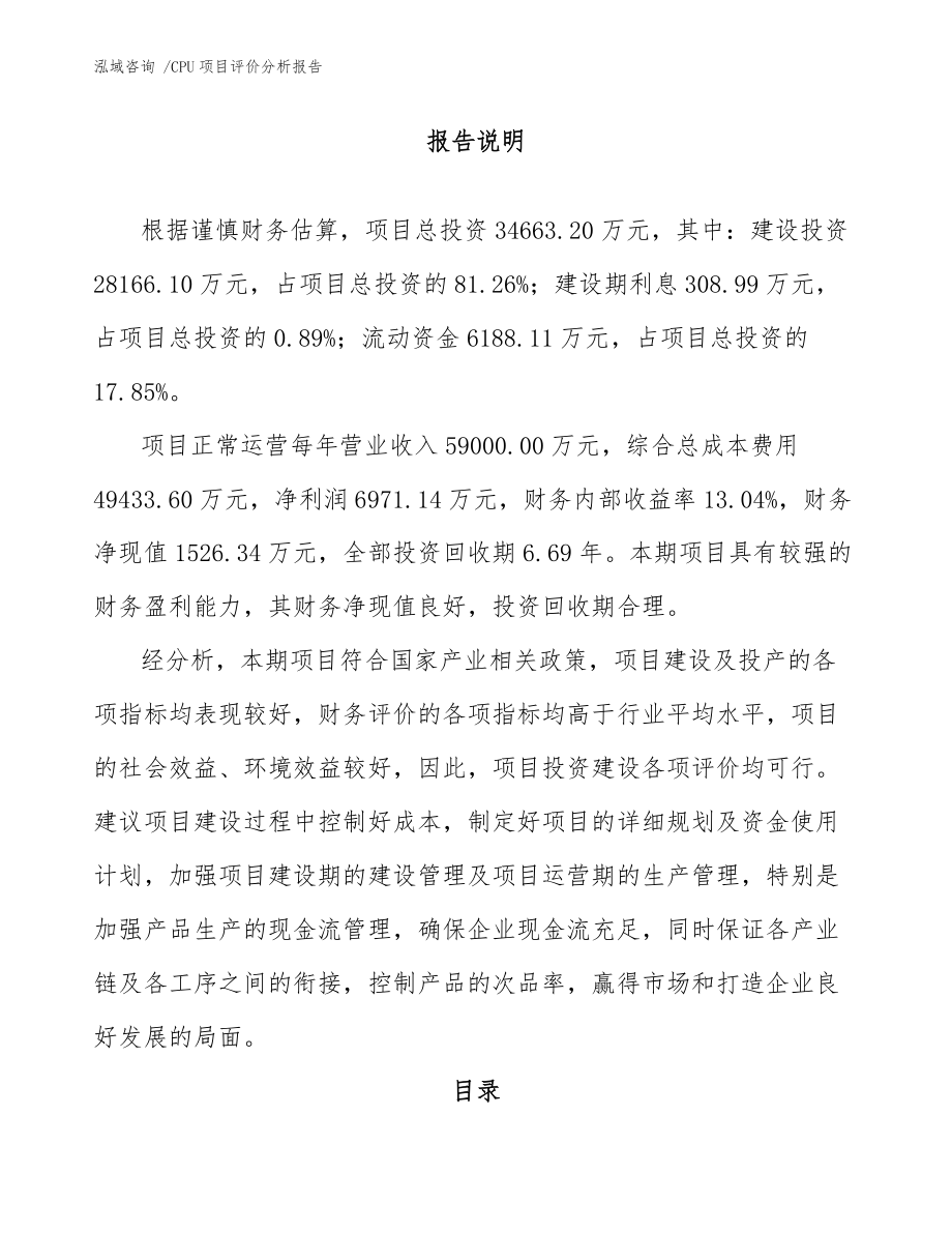 CPU项目评价分析报告-模板范本_第1页