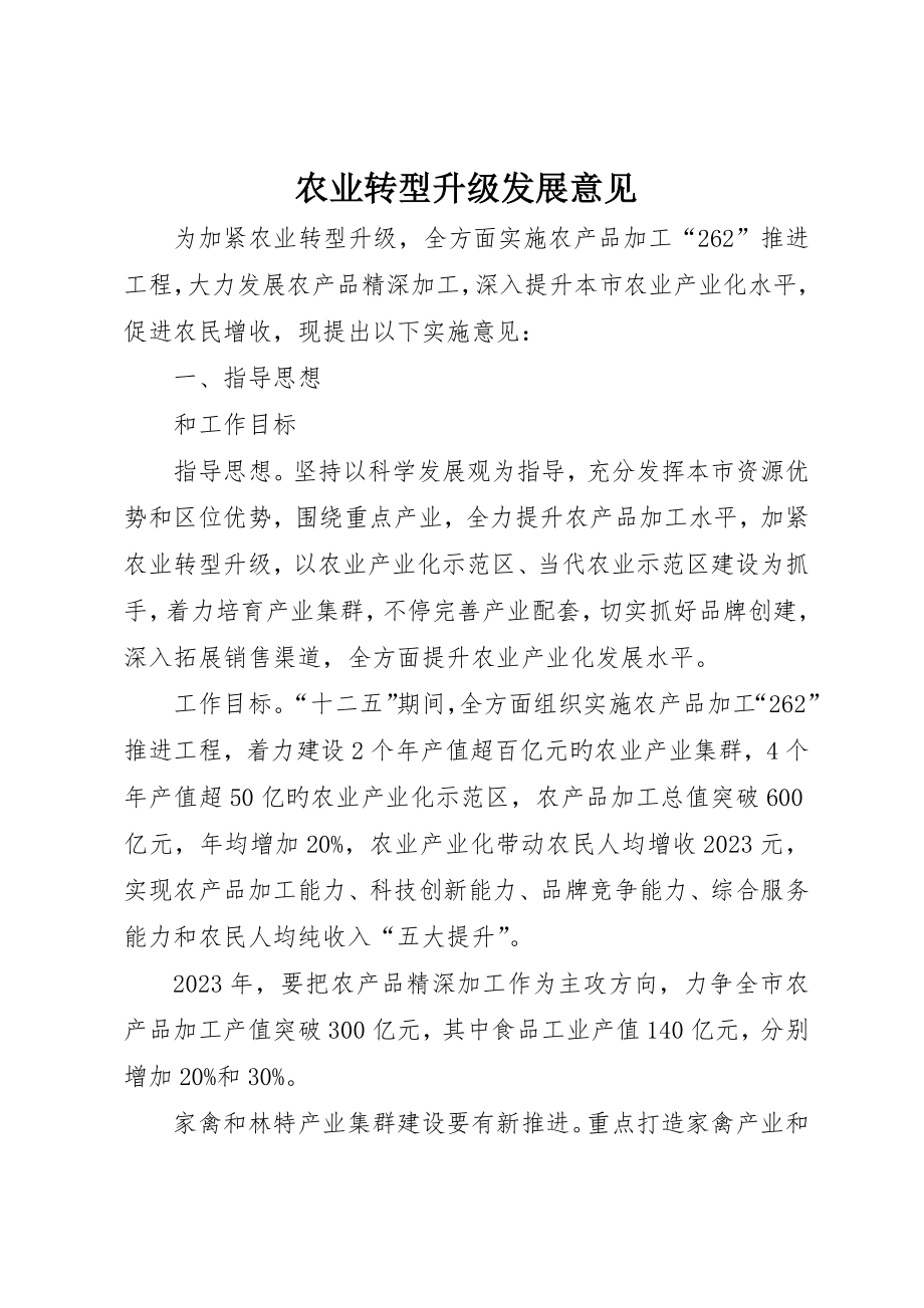 农业转型升级发展意见_第1页