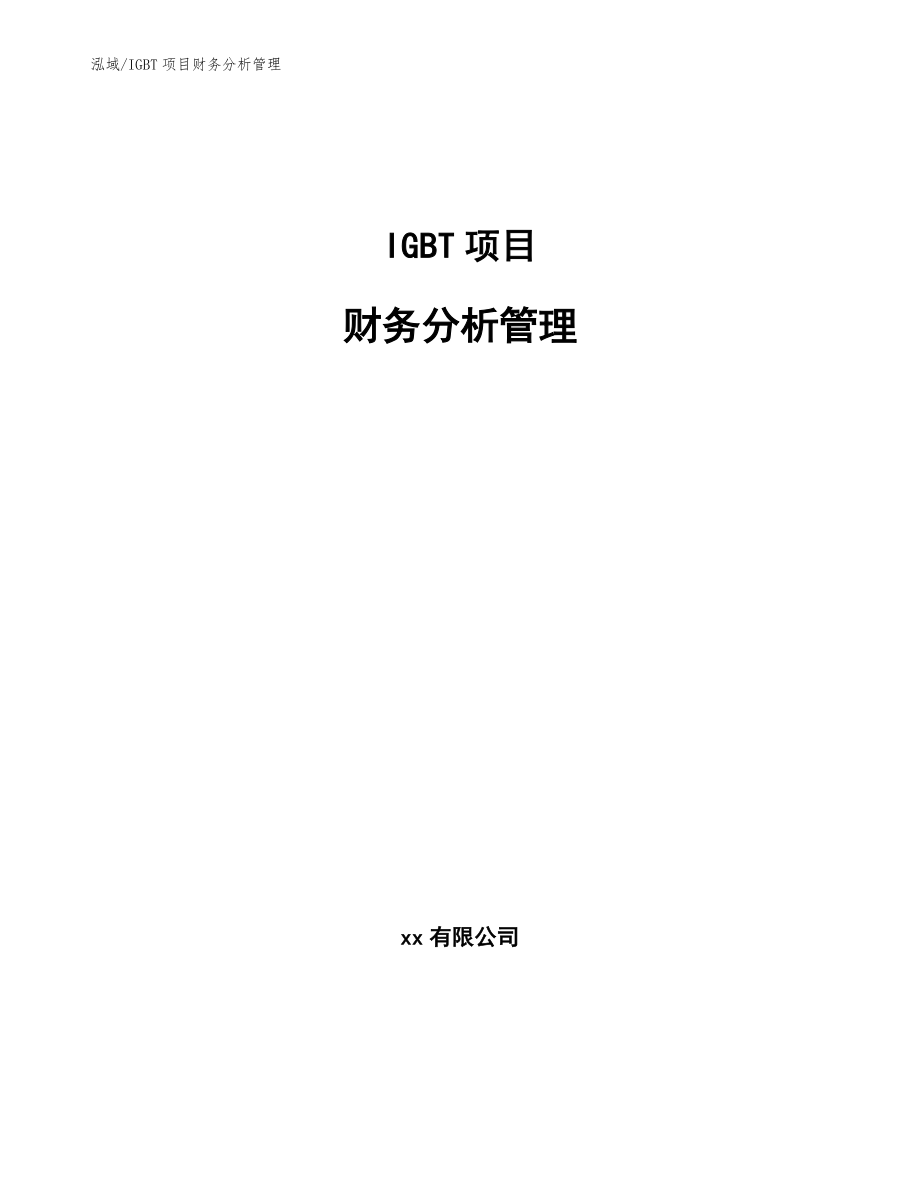IGBT项目财务分析管理_第1页