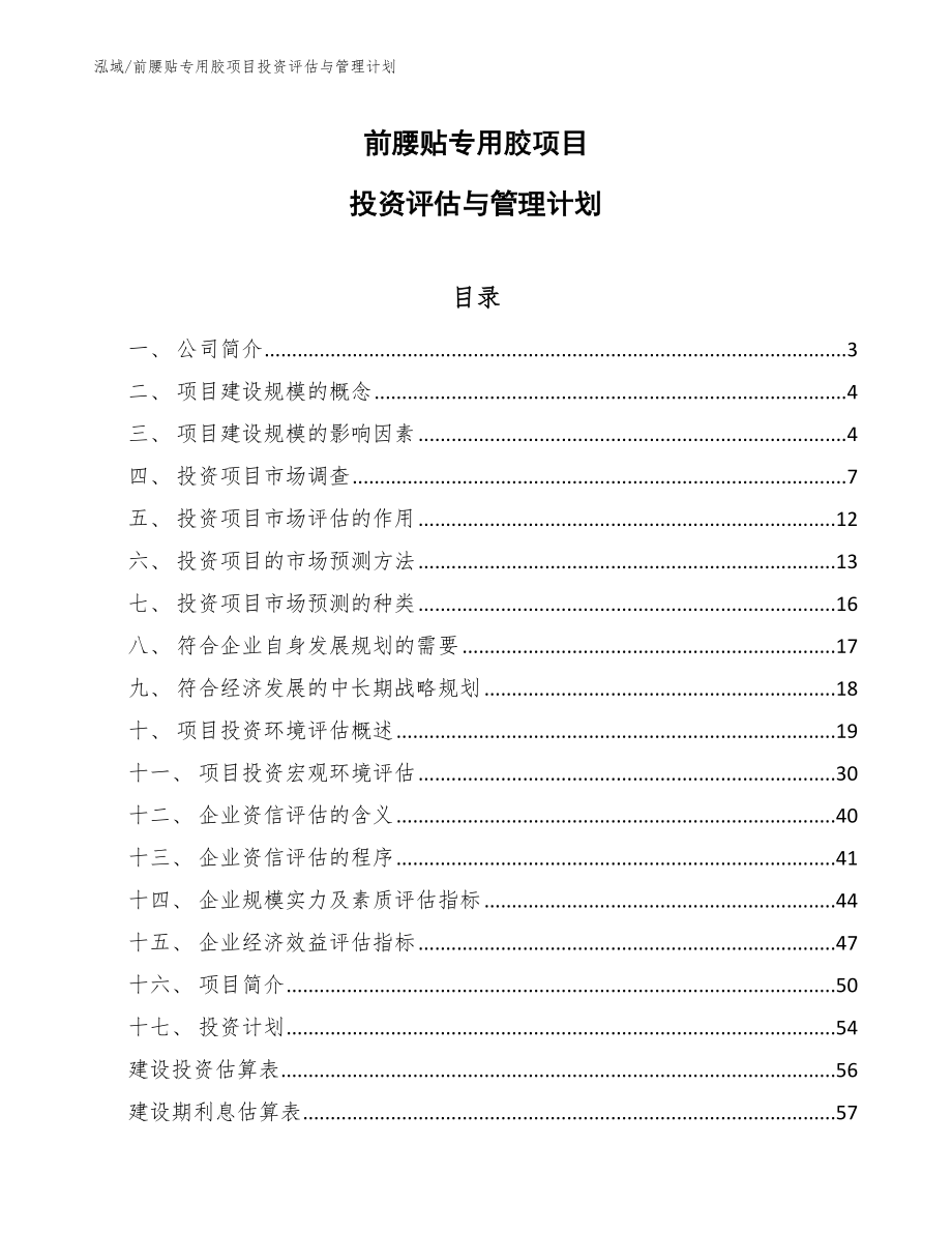 前腰贴专用胶项目投资评估与管理计划_第1页