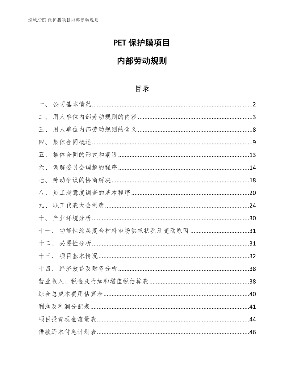 PET保护膜项目内部劳动规则_参考_第1页