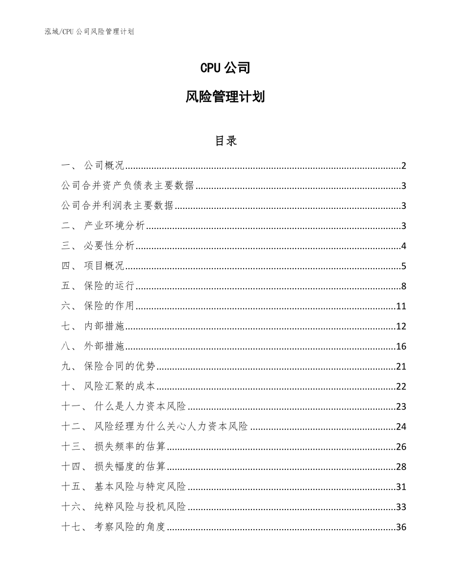 CPU公司风险管理计划【参考】_第1页