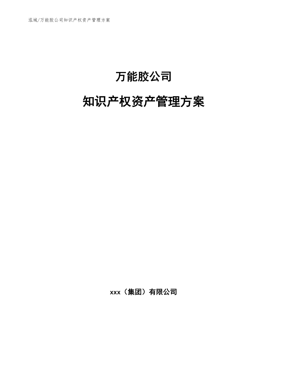 万能胶公司知识产权资产管理方案【参考】_第1页