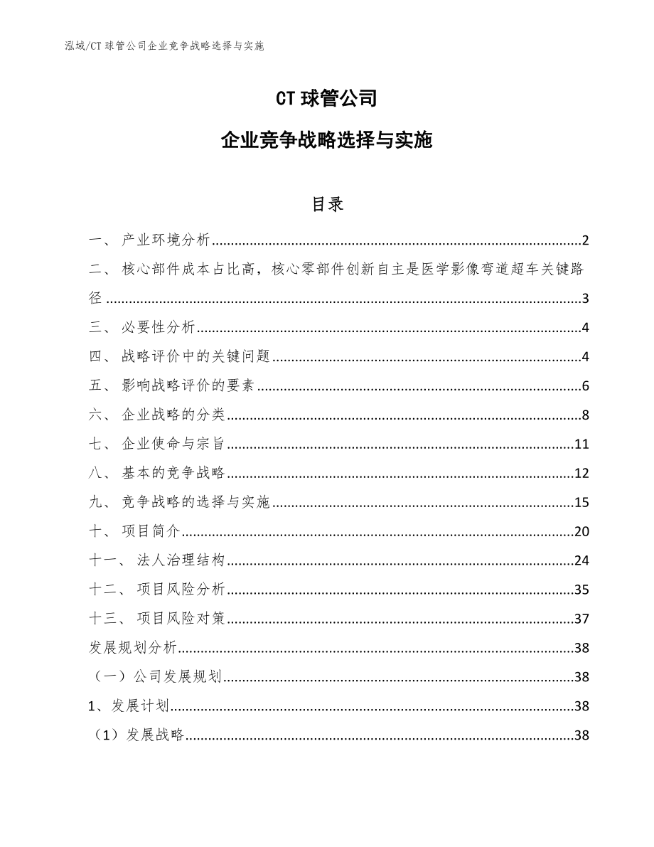CT球管公司企业竞争战略选择与实施_参考_第1页
