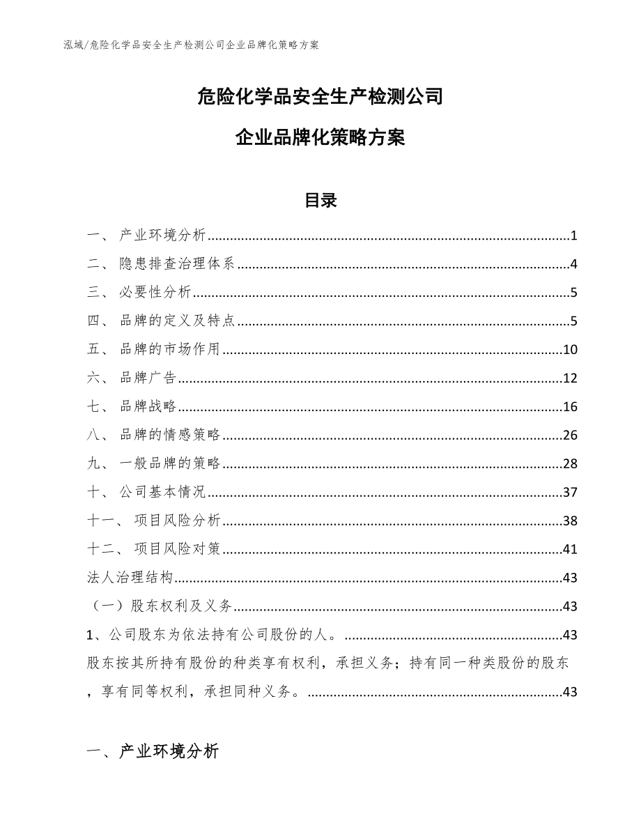 危险化学品安全生产检测公司企业品牌化策略方案（范文）_第1页