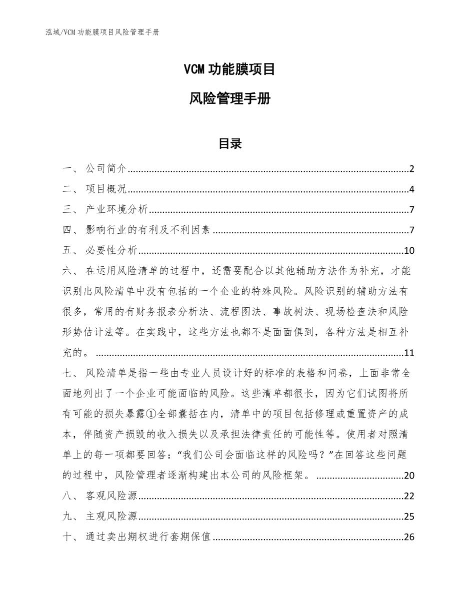 VCM功能膜项目风险管理手册【参考】_第1页