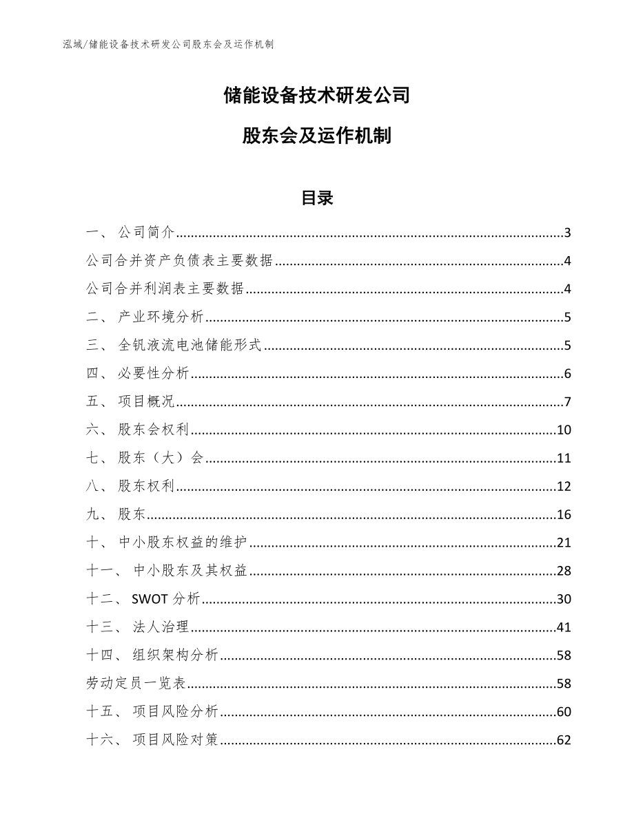 储能设备技术研发公司股东会及运作机制（参考）_第1页