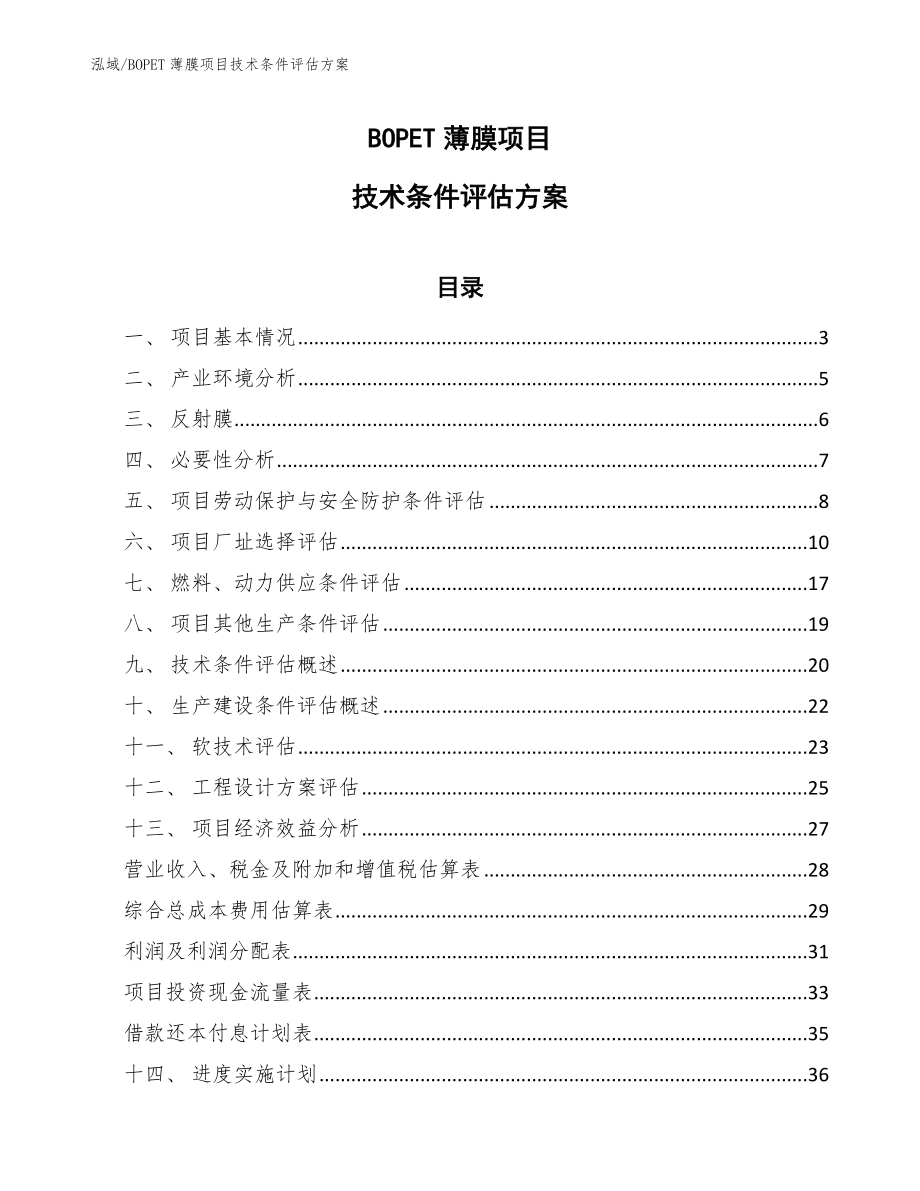 BOPET薄膜项目技术条件评估方案_范文_第1页