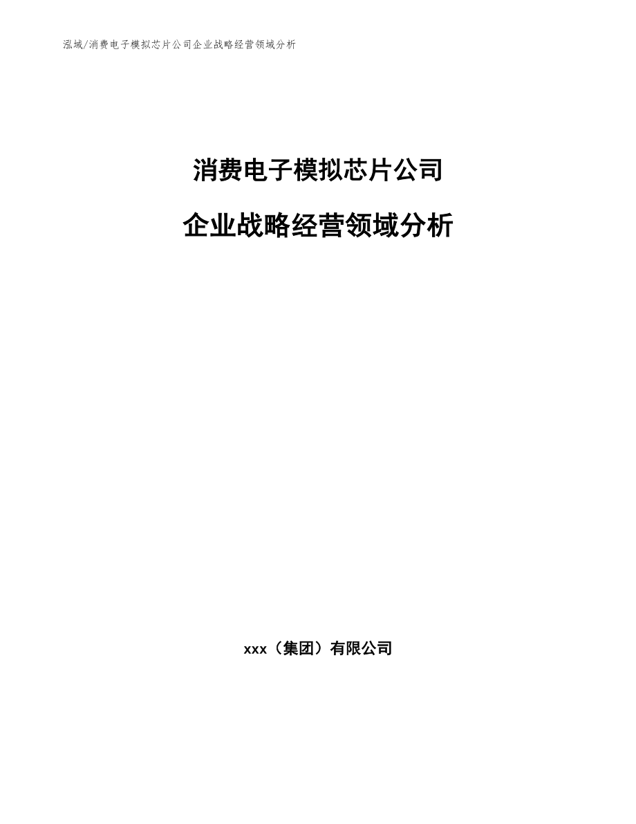 消费电子模拟芯片公司企业战略经营领域分析【参考】_第1页