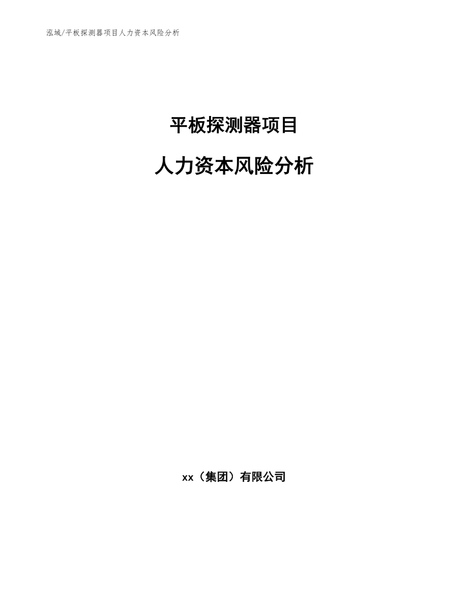 平板探测器项目人力资本风险分析【参考】_第1页
