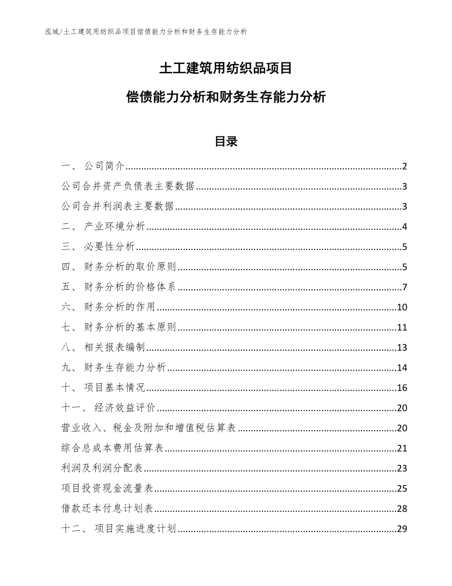 土工建筑用纺织品项目偿债能力分析和财务生存能力分析（参考）_第1页