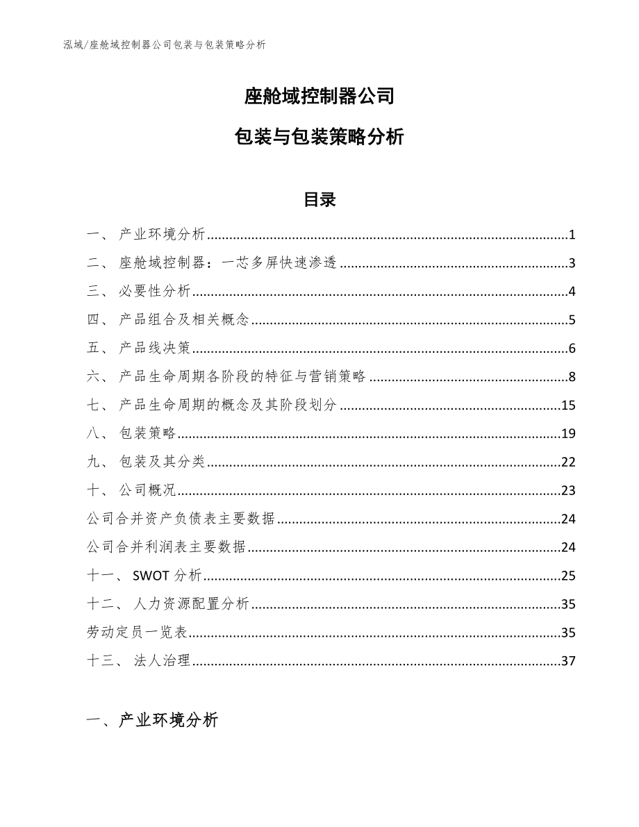 座舱域控制器公司包装与包装策略分析_范文_第1页