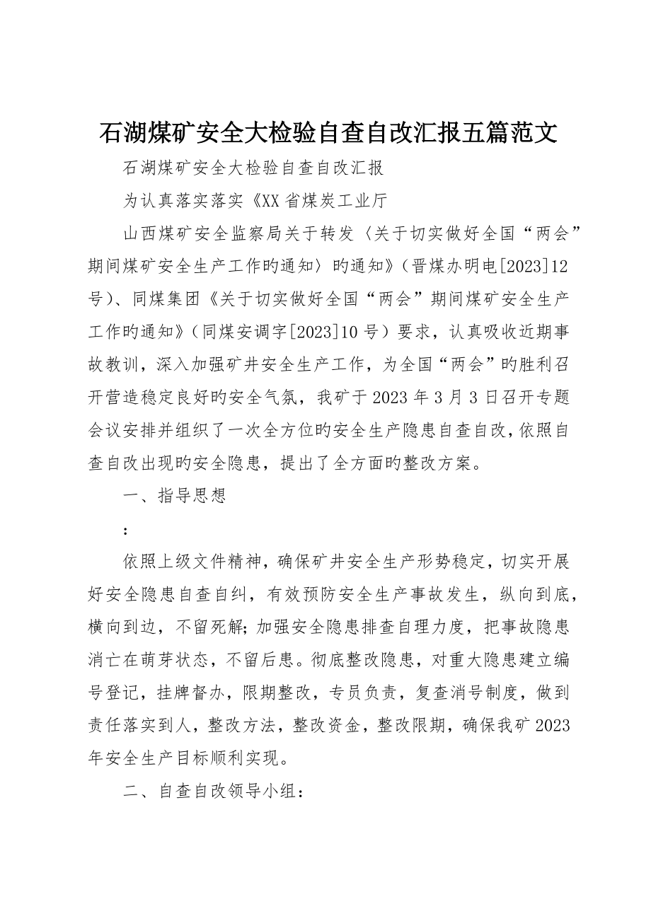 石湖煤矿安全大检查自查自改报告五篇范文_第1页