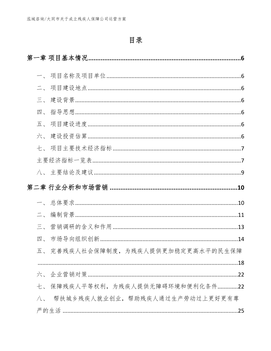大同市关于成立残疾人保障公司运营方案_范文模板_第1页