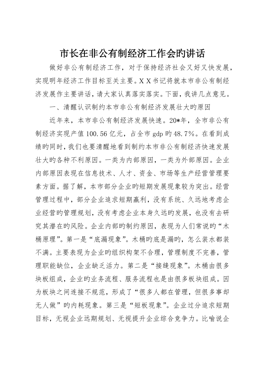 市长在非公有制经济工作会的致辞_第1页