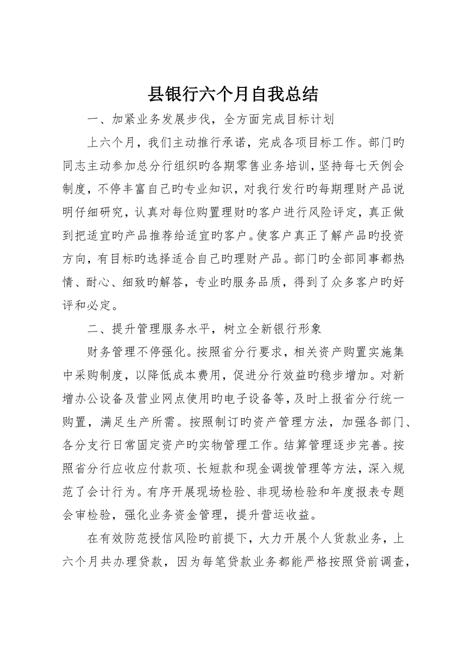 县银行半年自我总结_第1页