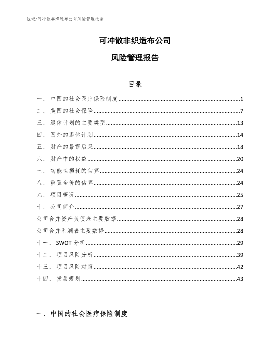 可冲散非织造布公司风险管理报告（参考）_第1页