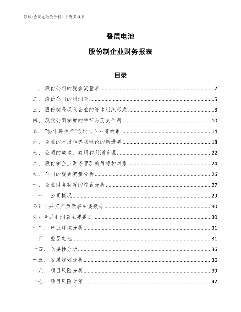 叠层电池股份制企业财务报表_第1页