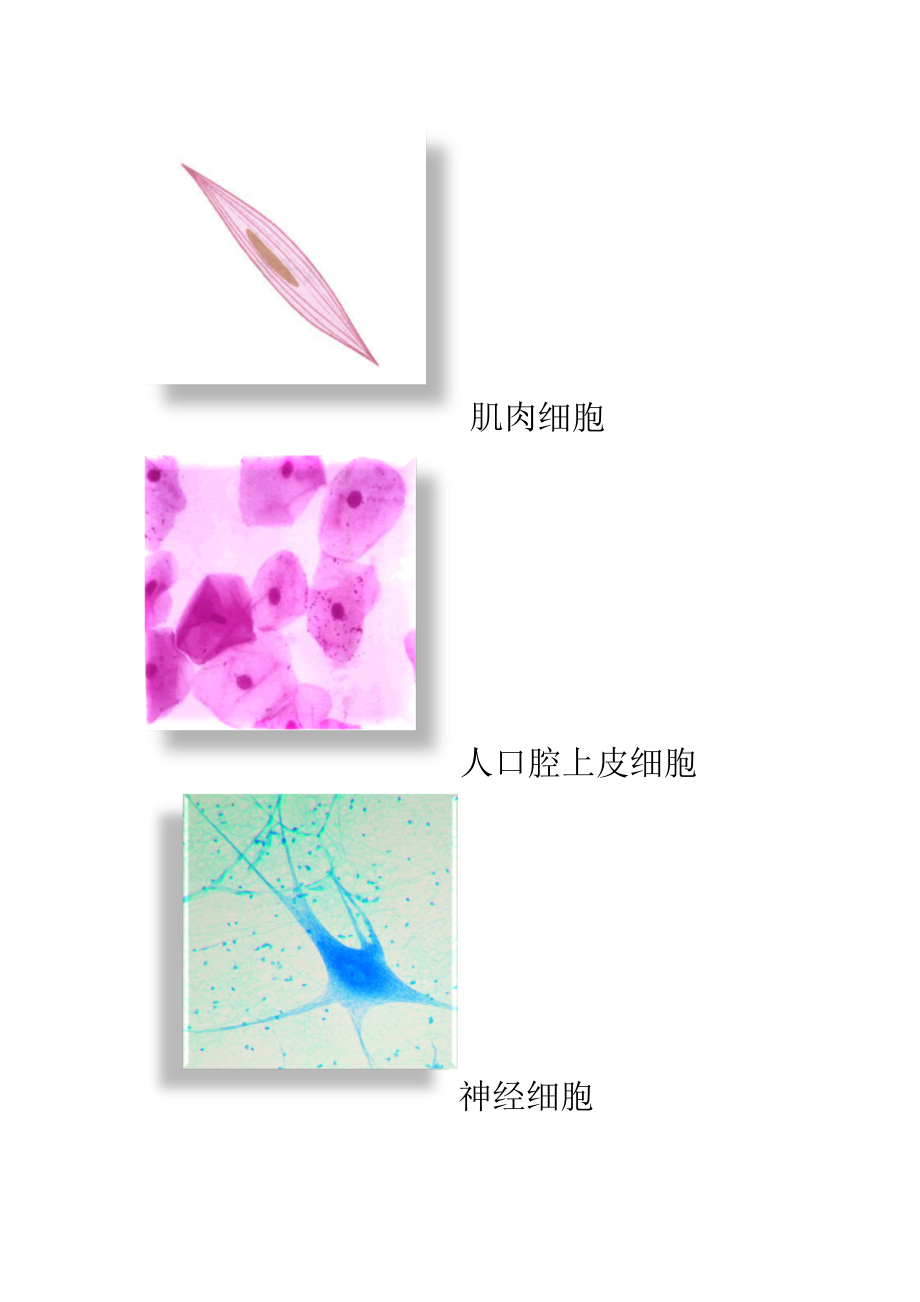 第三节信息的处理_第1页