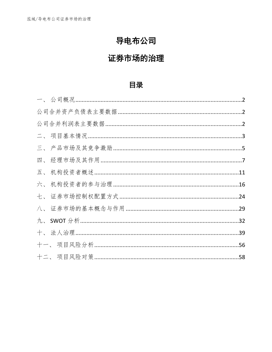 导电布公司证券市场的治理_参考_第1页