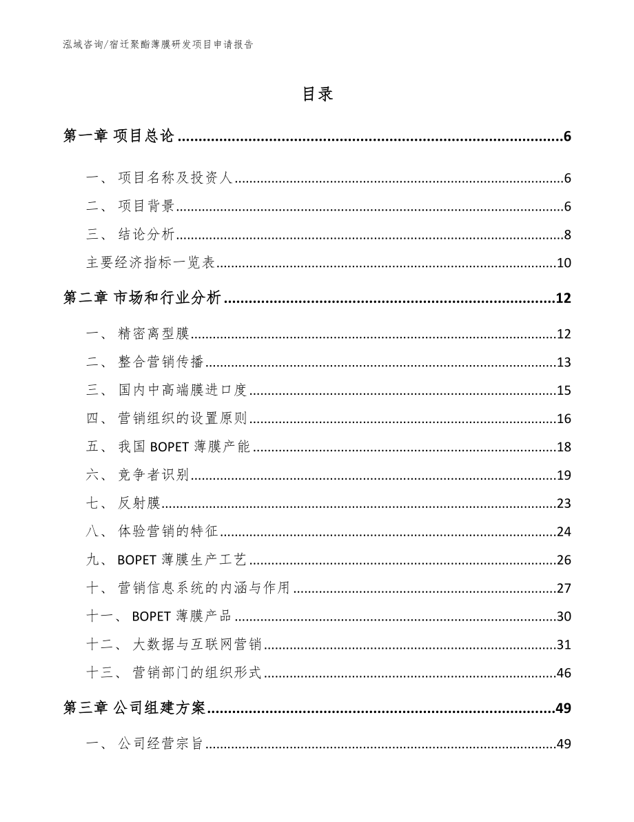 宿迁聚酯薄膜研发项目申请报告_第1页