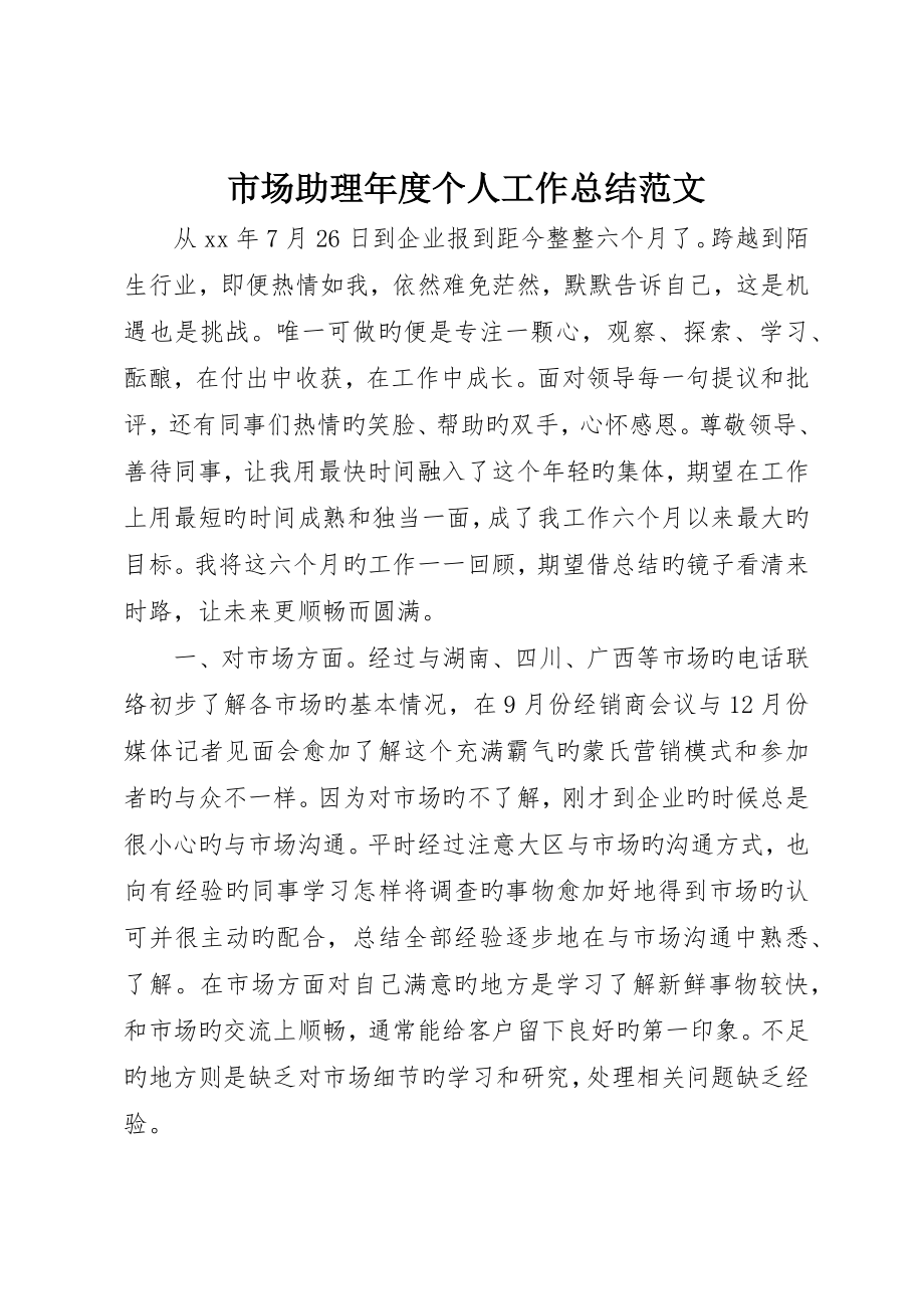 市场助理年度个人工作总结范文_第1页