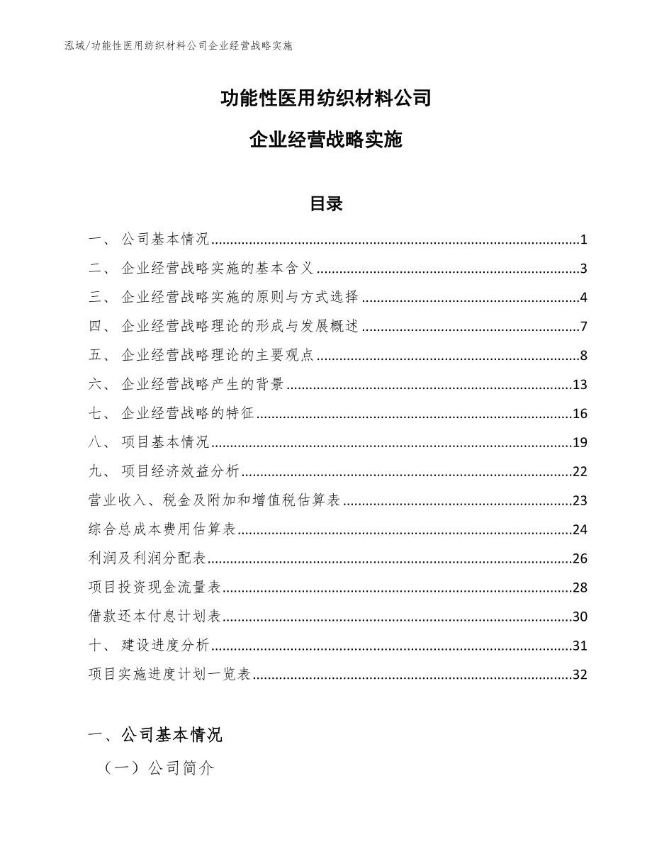功能性医用纺织材料公司企业经营战略实施_第1页