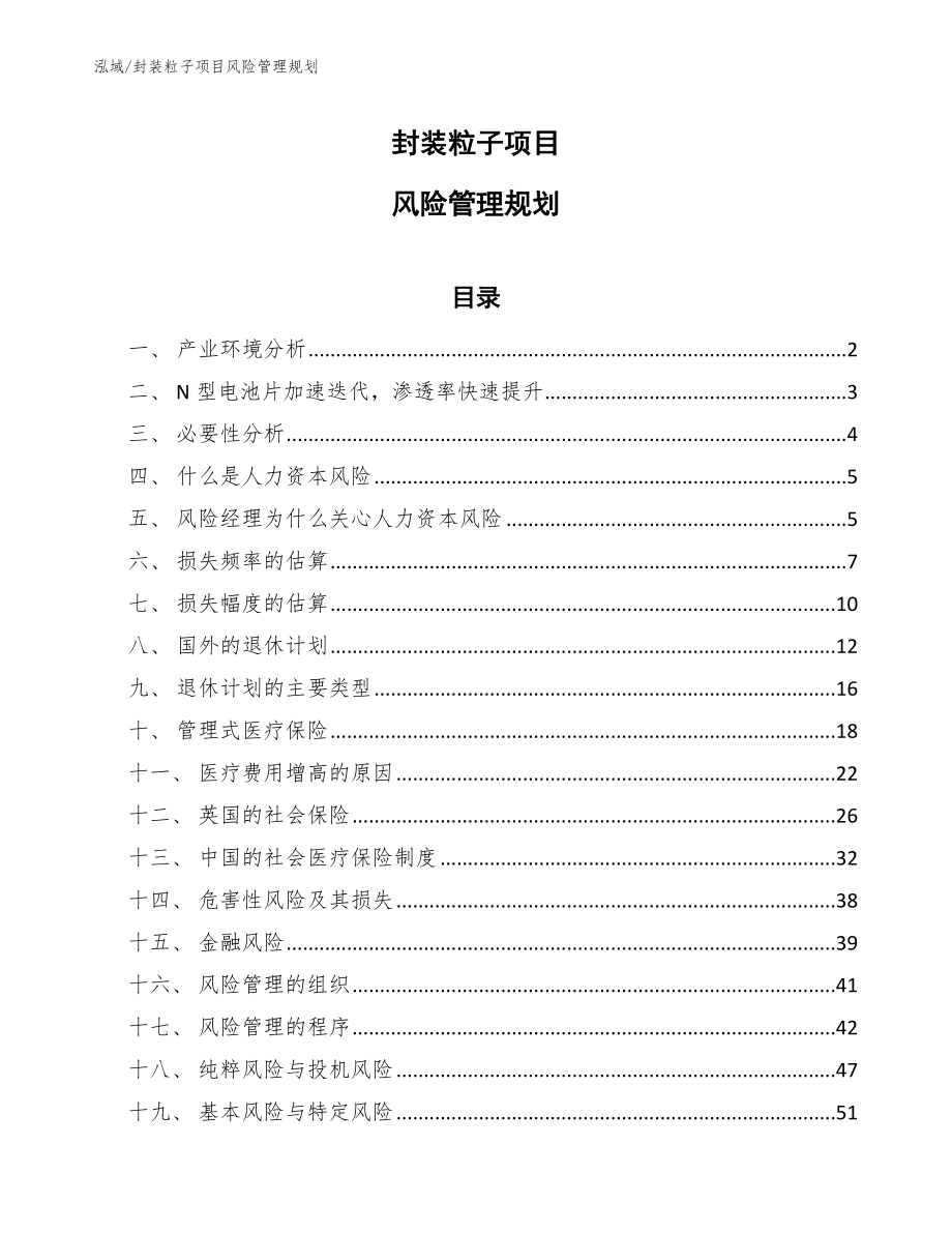 封装粒子项目风险管理规划_范文_第1页