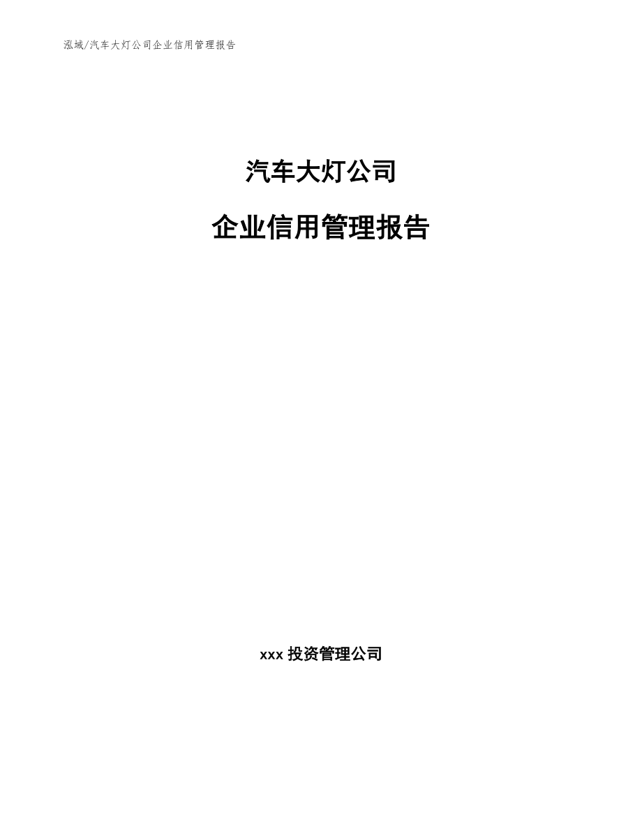 汽车大灯公司企业信用管理报告_第1页
