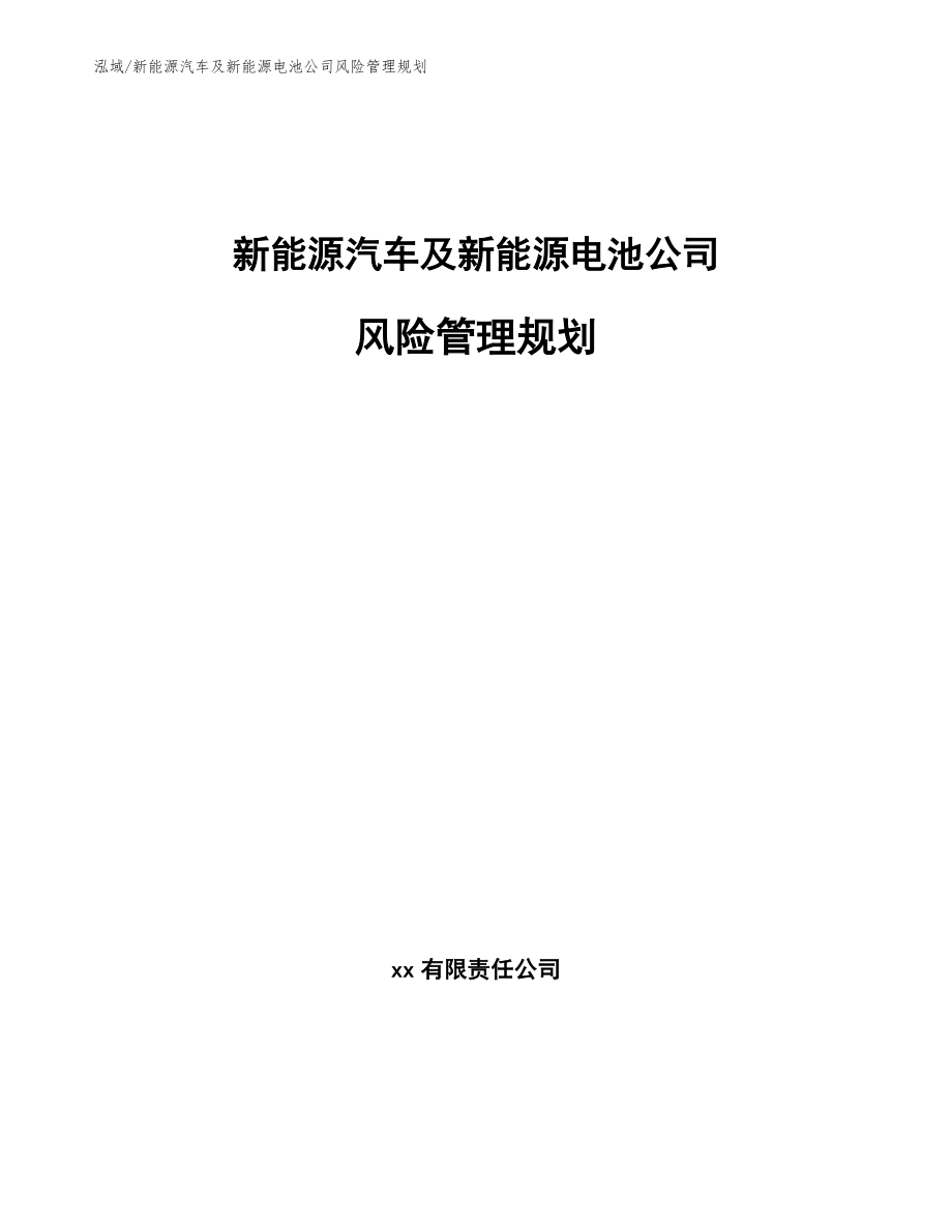 新能源汽车及新能源电池公司风险管理规划_第1页