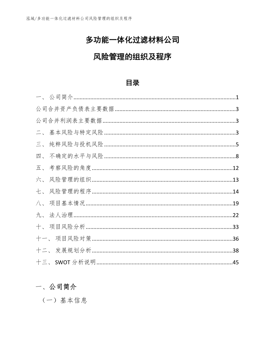 多功能一体化过滤材料公司风险管理的组织及程序（范文）_第1页