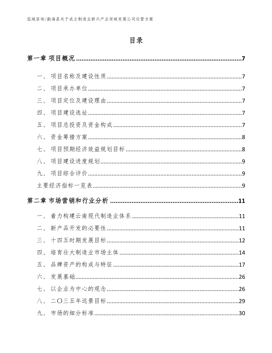 勐海县关于成立制造业新兴产业突破发展公司运营方案_第1页