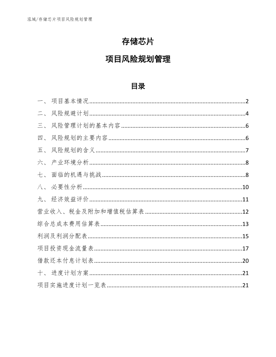 存储芯片项目风险规划管理（范文）_第1页