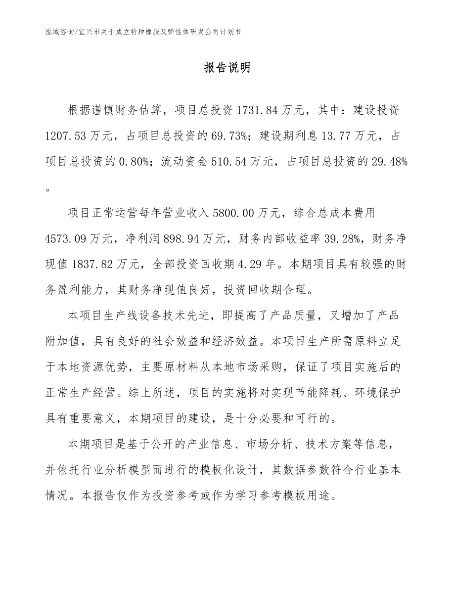宜兴市关于成立特种橡胶及弹性体研发公司计划书（范文）_第1页