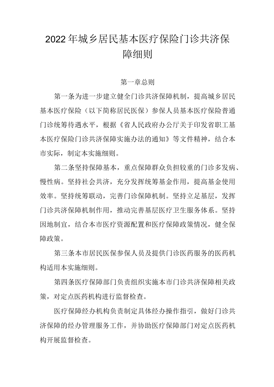 2022年城乡居民基本医疗保险门诊共济保障细则_第1页