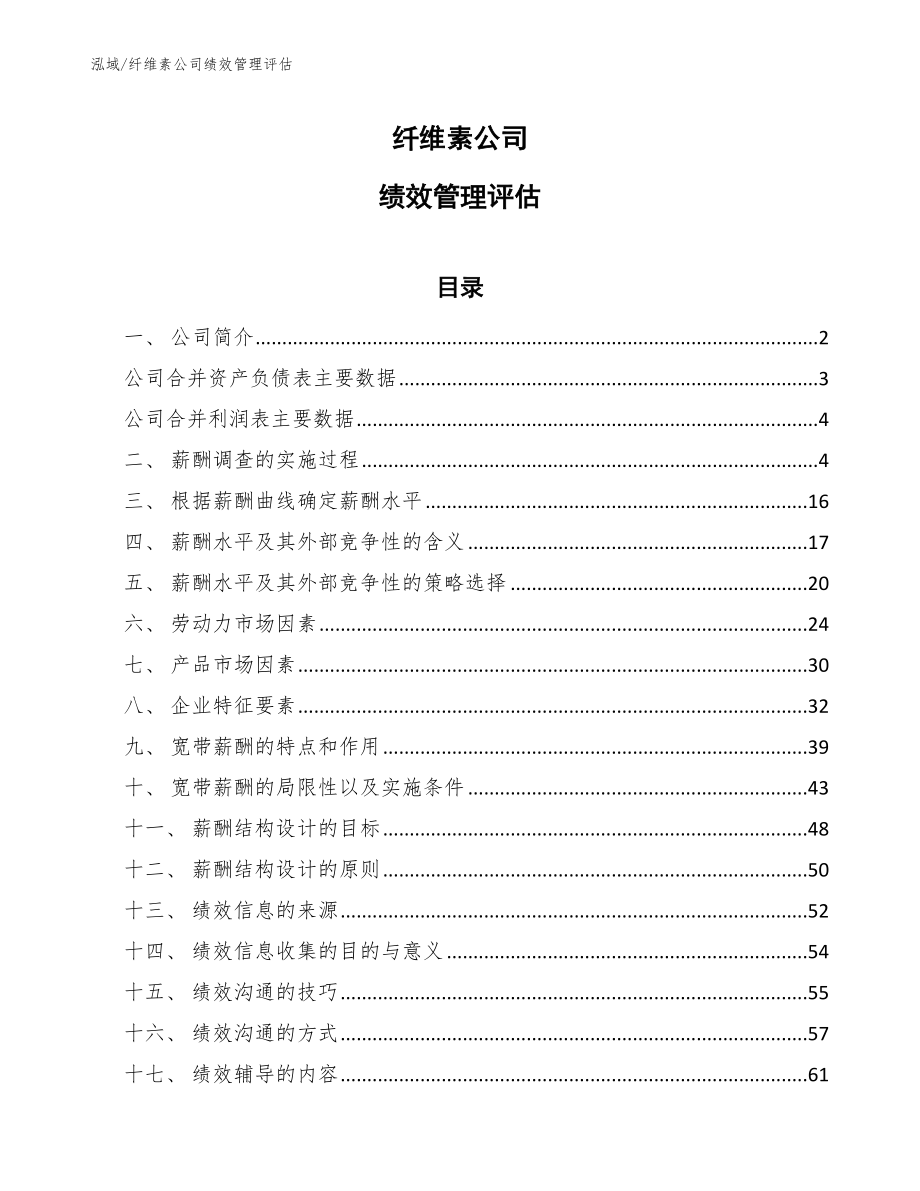 纤维素公司绩效管理评估_第1页