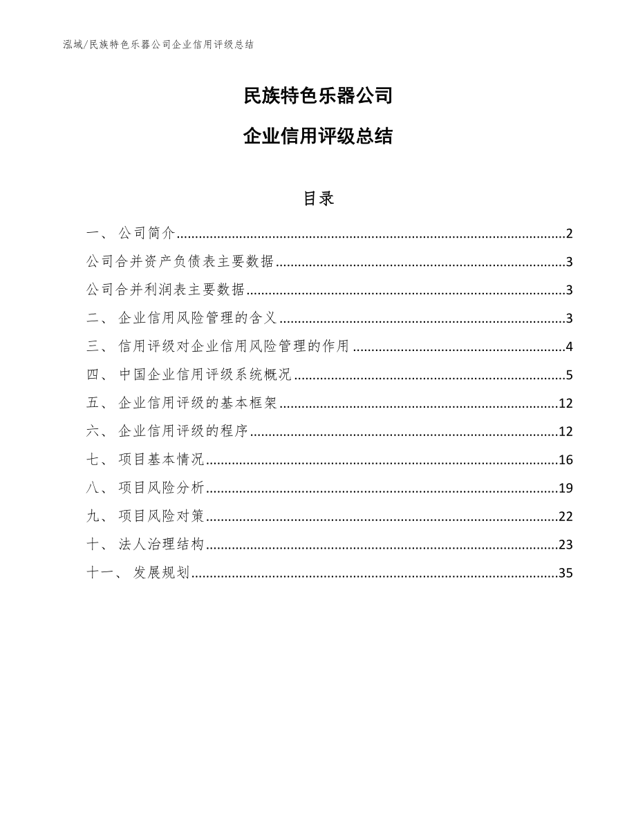 民族特色乐器公司企业信用评级总结（范文）_第1页