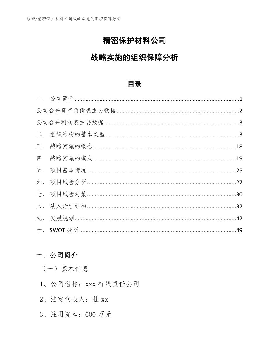 精密保护材料公司战略实施的组织保障分析_第1页