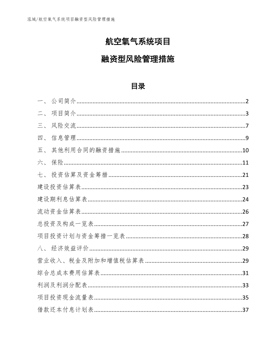 航空氧气系统项目融资型风险管理措施【范文】_第1页