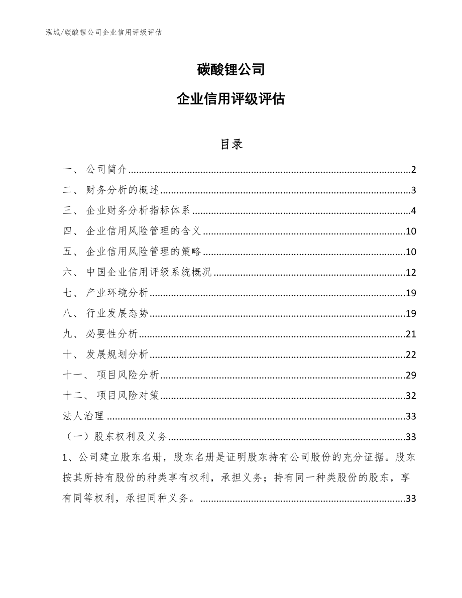 碳酸锂公司企业信用评级评估_第1页
