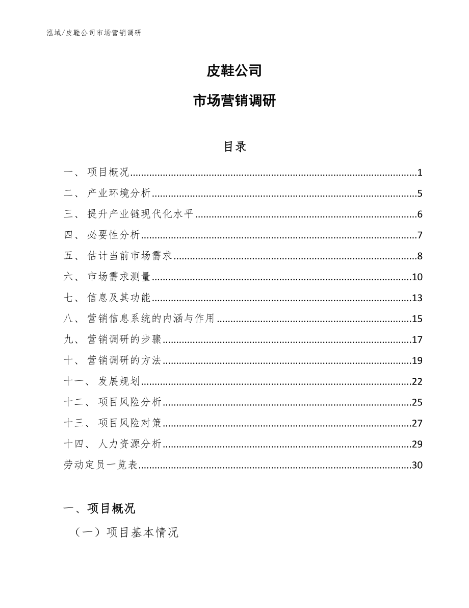 皮鞋公司市场营销调研（参考）_第1页