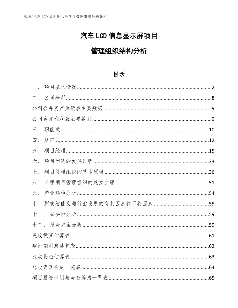 汽车LCD信息显示屏项目管理组织结构分析_参考_第1页