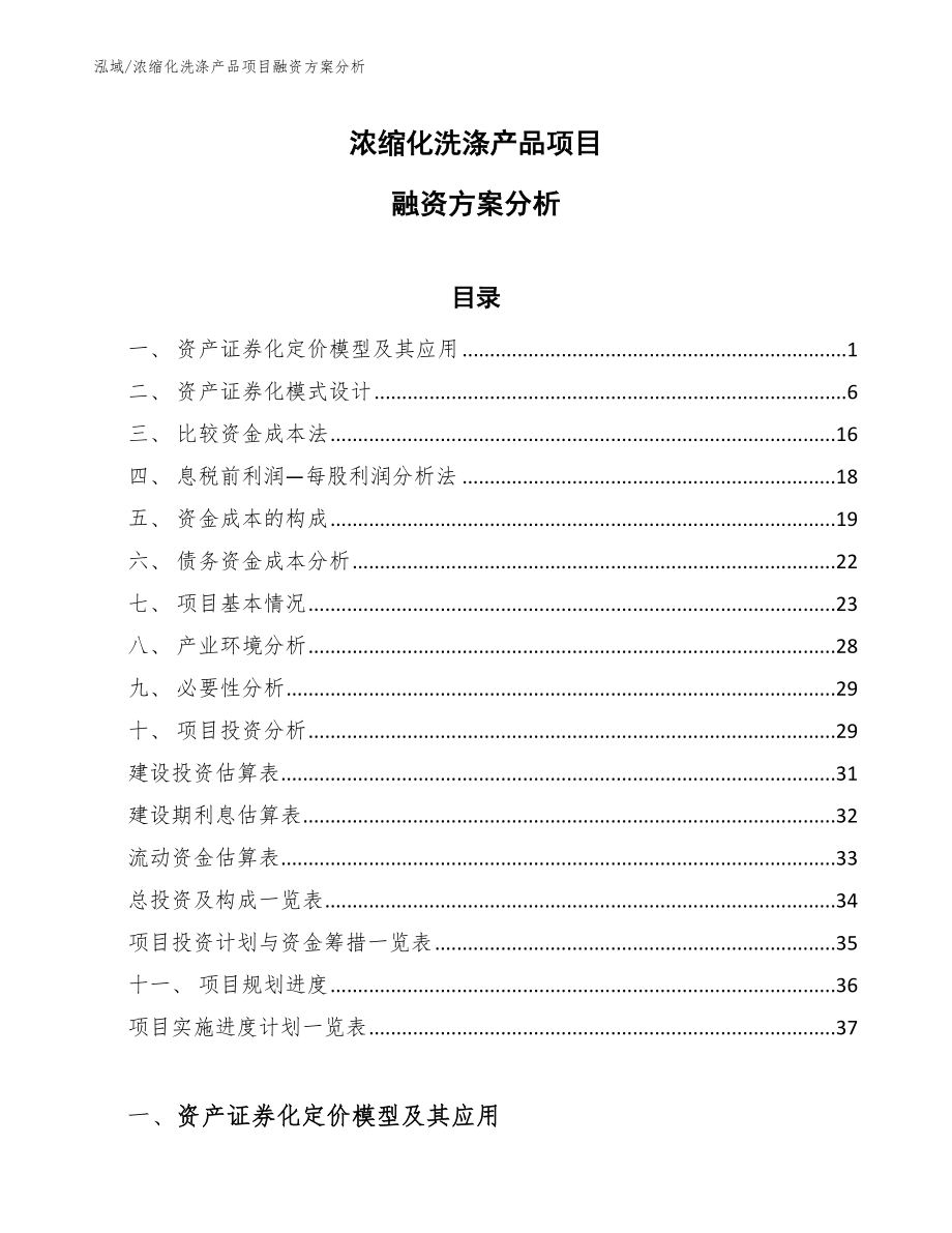 浓缩化洗涤产品项目融资方案分析_第1页