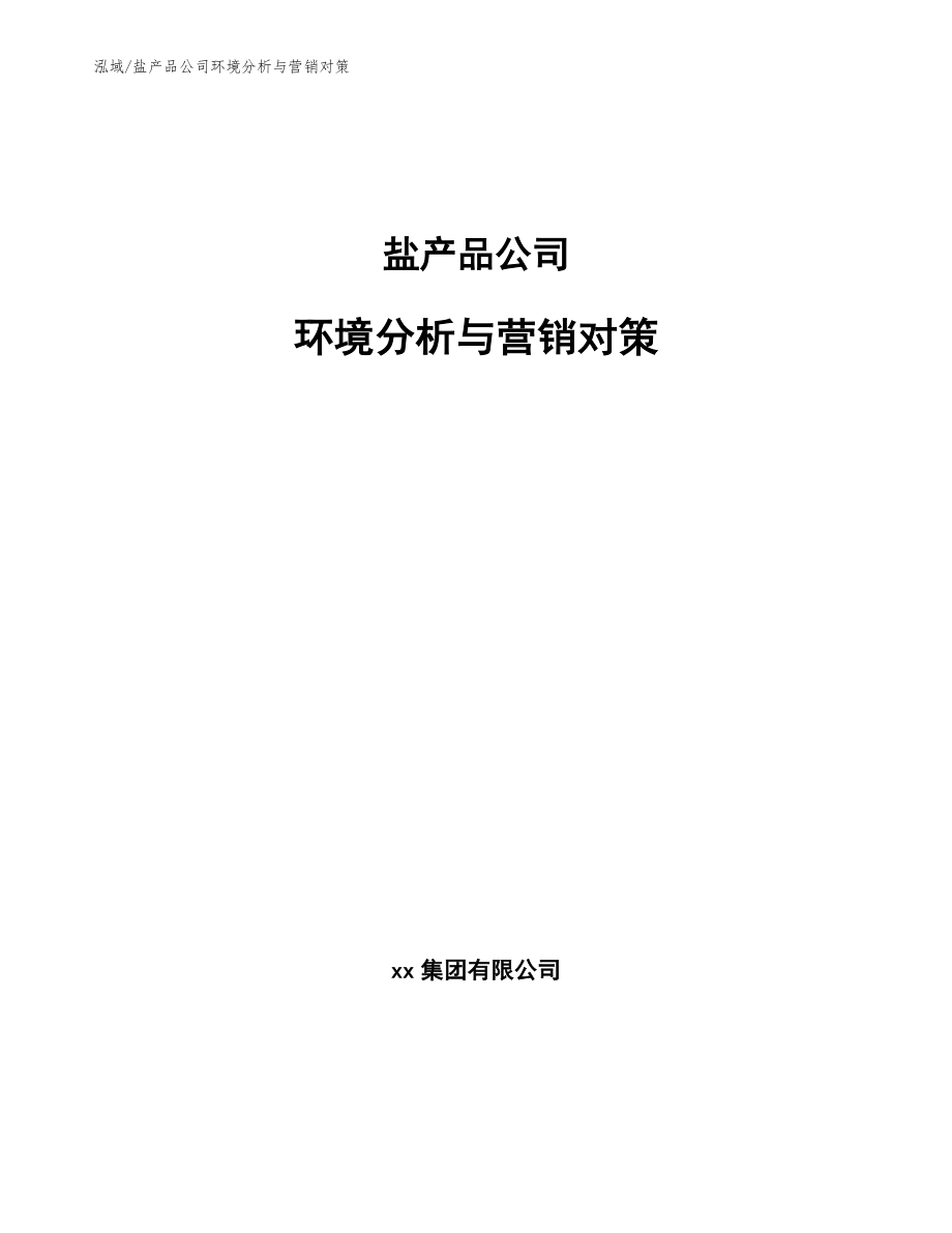 盐产品公司环境分析与营销对策_参考_第1页