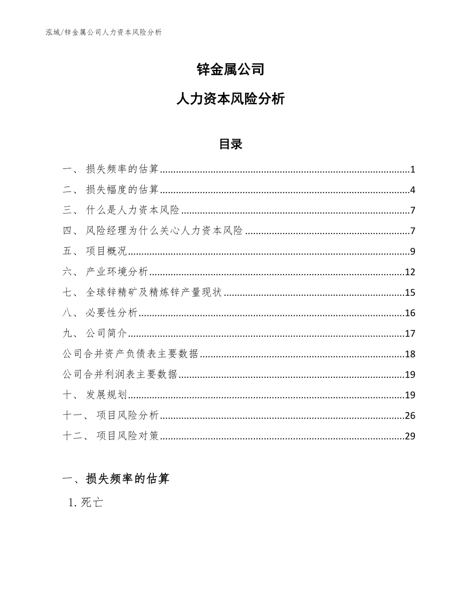 锌金属公司人力资本风险分析【范文】_第1页