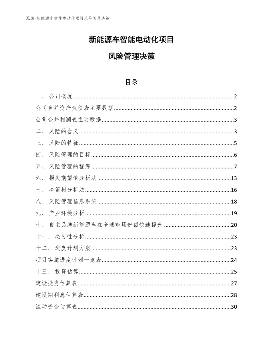 新能源车智能电动化项目风险管理决策_第1页