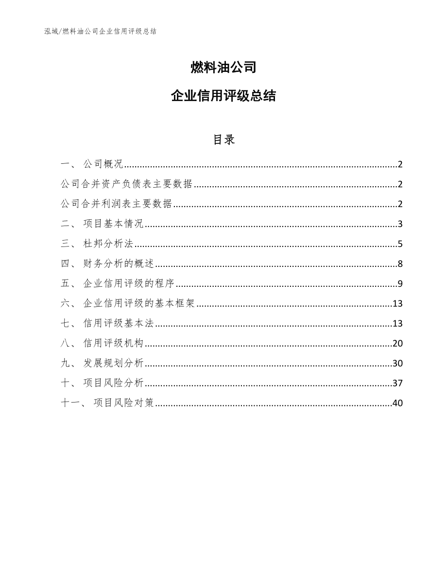 燃料油公司企业信用评级总结（参考）_第1页