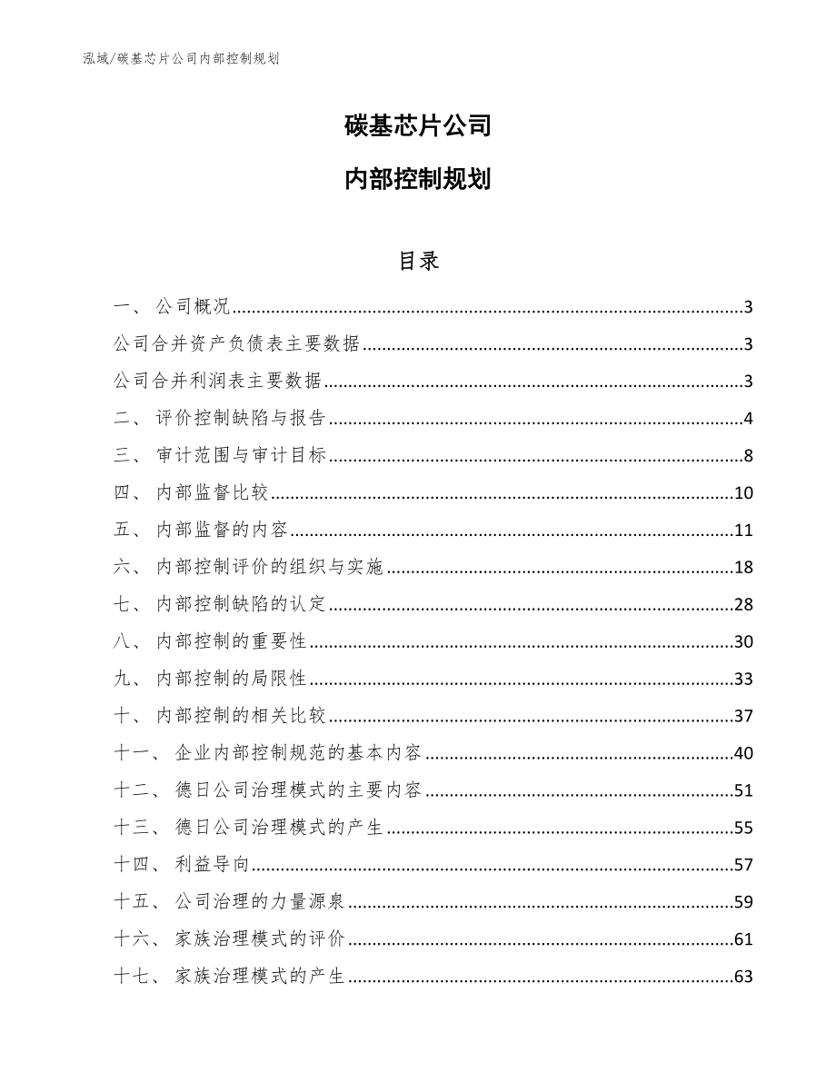 碳基芯片公司内部控制规划【范文】_第1页